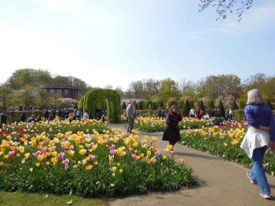 Keukenhof (1)