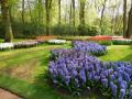 Keukenhof (8)